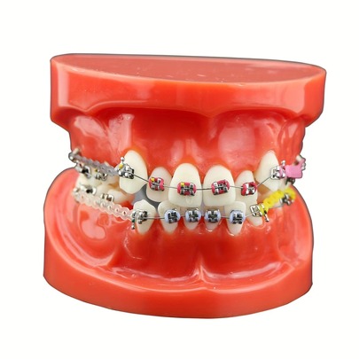 1 Pair Temporary Decorative Fake Teeth | Multi-Color Options, Suitable For Holiday Dress-Up, Role Play, Daily Wear, Travel, Various Celebration Events; Fragrance-Free; Applicable Scenes: Decorative Use, Home Bedroom, Outdoor Camping, Airplane Travel Or University Dorm; Essential Full Set Of Cleaning Supplies For Airplane Travel, Also Can Be Used As A Gift