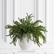 Artificial Norfolk Pine Stems For Christmas Decorations 18 Inch Fake Pine Cone Branches For Vases Garland Real Touch Faux Greenery Evergreen Plants For Xmas Home Decor Indoor Winter - Multicolor - View 1