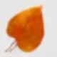 اسم مخصص