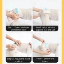 20Pcs Disposable Dog Diapers For Female Dogs, Comfortable Breathable Disposable Dog Panties Leak-Proof Absorbent Pet Pads - Female Dog - View 9