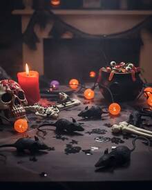 Decoração Halloween Morcego Aranha Rato Insetos Assustadores Enfeite Festa Dia das Bruxas Terror Horror Pegadinha Brincadeira Cosplay Cenário Temático - Kit Rato 6un - Visão 8
