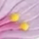 多色A