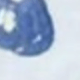 彩色