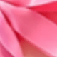 Rose Red