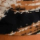 Linho Mescla Preto