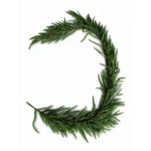 6ft Artificial Christmas Norfolk Pine Garland, High-End Realistic Evergreen Foliage Vine, Faux Pine Needle Hanging Decor, Suitable For Fireplace Mantel, Stairs, Door, Tabletop Centerpiece, Wall, Indoor And Outdoor Holiday Home Decoration - Green - View 10