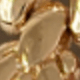 Dorado