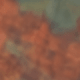 MultiWarna
