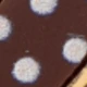 Brown and White Polka Dot