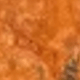 Burnt Orange