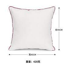 Pillow Insert, Soft And Fluffy Decorative Cushion Core, Premium White Polyester Fiber Filled Pillow Core, Square Sofa, Bed, Couch And Home Decor Pillow Insert - White - View 1