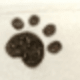 Full-screen Paw Prints