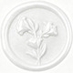 Flower - Pearl White
