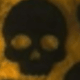 Leopard Print Skull