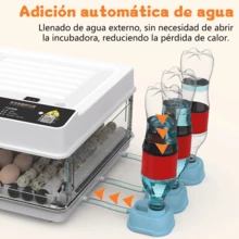 Egg Handling Supplies - White - View 8