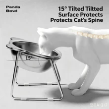 4/2/1PcsCat Elevated Bowl 304 Stainless Steel 15° Tilted Design Neck Protection Healthy Feeding Bowl Anti-Shatter And Anti-Fall Pet Bowl - Multicolor - View 3
