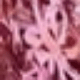 Rose Pink