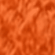 Burnt Orange