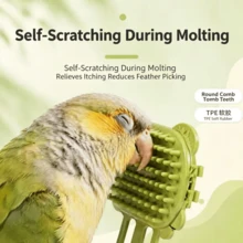 Bird Scratching Toy Parrot Itch Relief Tool For Molting Itch Relief Cockatiel Lovebird Sun Conure Training Accessory - A+B - View 8