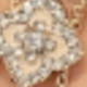 Gold and White Flowers