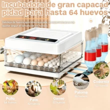 Egg Handling Supplies - White - View 10