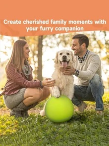 Pet Chew-Resistant Interactive Football Toy Set, High Elasticity Teething & Boredom Relief Dog Toy Ball With Webbing Pull Handle, Outdoor Tug-Of-War Training Ball, Includes Air Pump, Durable & For Teeth, Suitable For All Dogs - Multicolor - View 8