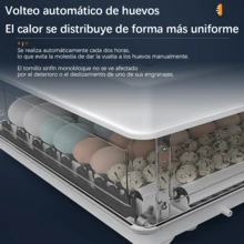 Egg Handling Supplies - White - View 10