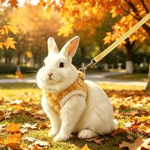 1pc Autumn/Winter Small Pet Leash, Rabbit/Guinea Pig Warm Plush Harness Leash, Suitable For Small Dogs, Cats, Dog Leash, Dog Chain, Dog Supplies, Cat Supplies - Multicolor - View 3