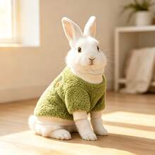 1pc Avocado Pattern Clothing, Multi-Style Cute Fruit Design, Autumn/Winter Warm Sweatshirt, Rabbit Pet Accessories, Small Pet Rabbit Autumn/Winter Warm Sweatshirt, Rabbit Pet Supplies, Rabbit, Rabbit Pet Accessories, Rabbit Pet Supplies, Valentine's Day - Multicolor - View 1