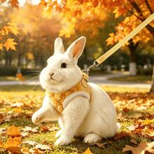 1pc Autumn/Winter Small Pet Leash, Rabbit/Guinea Pig Warm Plush Harness Leash, Suitable For Small Dogs, Cats, Dog Leash, Dog Chain, Dog Supplies, Cat Supplies - Multicolor - View 1