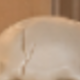 骷髏牽狗
