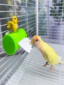1 Set Mainan Gantung Sangkar, Kotak Tisu Kertas, Mainan Mengunyah untuk Burung, Aksesori Sangkar Dekoratif Bergambar Burung Kartun, Cocok untuk Burung Lovebird, Cockatiel, dan Parakeet, Memperkaya Permainan dan Meredakan Kebosanan - MultiWarna - View 4