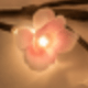 Warm white light