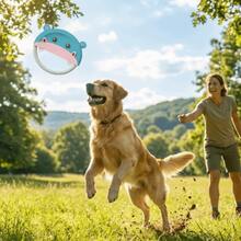 Dog Flying Disc, Bite-Resistant Durable Interactive Dog Toy, Creative Soft Teeth Grinding Cartoon Dog Training Toy Outdoor Game - Blue - View 6