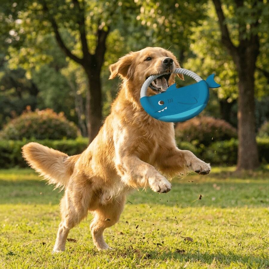 Dog Flying Disc, Bite-Resistant Durable Interactive Dog Toy, Creative Soft Teeth Grinding Cartoon Dog Training Toy Outdoor Game - Blue - View 1