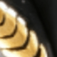 金色