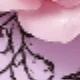 Purple - Floral Spider Web