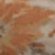 Coral Orange