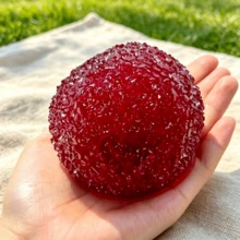 Tachimi 1 buah Aksesori Bermain Santai Waxberry, Mainan Remas Renyah untuk Hiburan di Meja, Barang Mainan Praktis untuk Koleksi Harian, Dikirim Secara Acak - MultiWarna - View 4