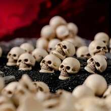 Mini Small Skull Resin Figurine, Realistic Skull Micro Landscape Decor Accessory, Halloween Succulent Planter Decoration Prop - Multicolor - View 6