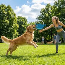 Dog Flying Disc, Bite-Resistant Durable Interactive Dog Toy, Creative Soft Teeth Grinding Cartoon Dog Training Toy Outdoor Game - Blue - View 8
