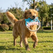 Dog Flying Disc, Bite-Resistant Durable Interactive Dog Toy, Creative Soft Teeth Grinding Cartoon Dog Training Toy Outdoor Game - Blue - View 10