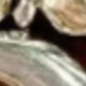 Solid Color