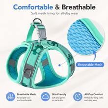Cartoon Dinosaur Print Pet Harness And Leash Set, Small And Medium Dog/Cat Chest Harness Accessory, Honeycomb Breathable Mesh Vest Style Leash, Suitable For Daily Outings, Outdoor, Dog Walking, Ideal Tool For Pet Owners - Multicolor - View 5