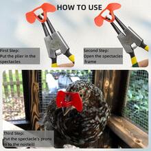25/50/100pcs No-Rod Eye Protection Glasses, Eye Covers, Anti-Pecking Glasses, Anti-Pecking Feathers, Anti-Fighting, Chicken Accessories - A - View 9