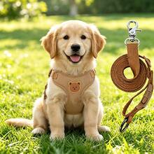 Set Harness dan Tali Anjing, Harness Rompi Anjing Motif Beruang Warna Solid, Dapat Diatur, Ringan, Nyaman, dan Bernapas, Anti-Lepas, Cocok untuk Perjalanan Luar Ruangan, Jalan-jalan, dan Latihan, Tali yang Serasi, Hadiah Ulang Tahun yang Berkesan untuk Kucing dan Anjing - Mocha Brown - View 9