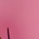 恐龍相框