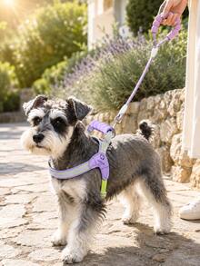 1pc Adjustable Pet Saddle-Style Harness, Soft Sponge Handle Design, Reflective Wavy Stripe Dog Chest Strap, Lightweight Comfortable Small Dog Puppy Walking Harness, Outdoor Pet Supplies, Cat Dog Accessories Dog Leash Harness, Small Dog Harness, Puppy Travel Essential, Car Pet Supplies, Cat Dog Goodies, Dog Leash, Cute Pet Outdoor Walking Gear - Multicolor - View 6
