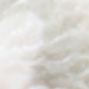 小貓