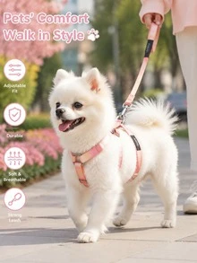 Cat Harness And Leash Set, Adjustable Gradient Vest Harness With Leash For Cats And Small Dogs, Comfortable Lightweight Walking Harness For Outdoor Walking - Multicolor - View 1